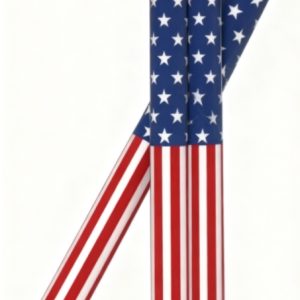 American Flag Pencils - Hex